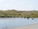Erratics
