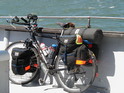 Basil strapped in behind the saddle