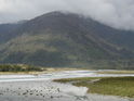 River Delta