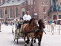 Horsey Tours