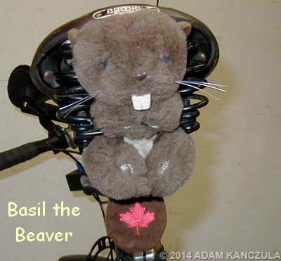 Basil the Beaver